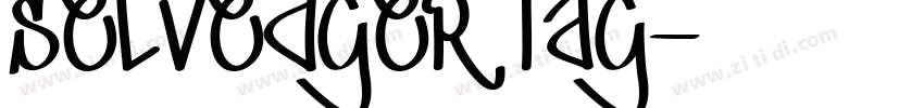 Selvedger Tag字体转换